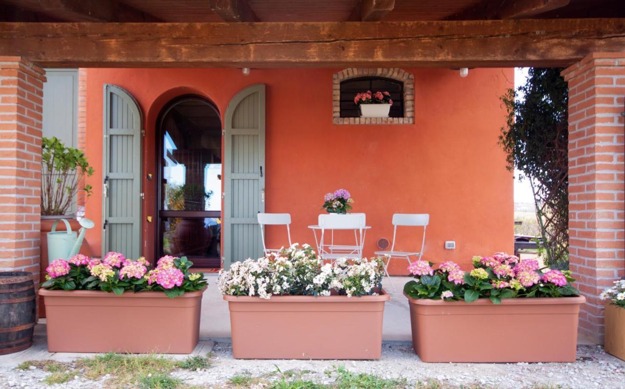Hotel Cà Vincenzona à Faenza Extérieur photo